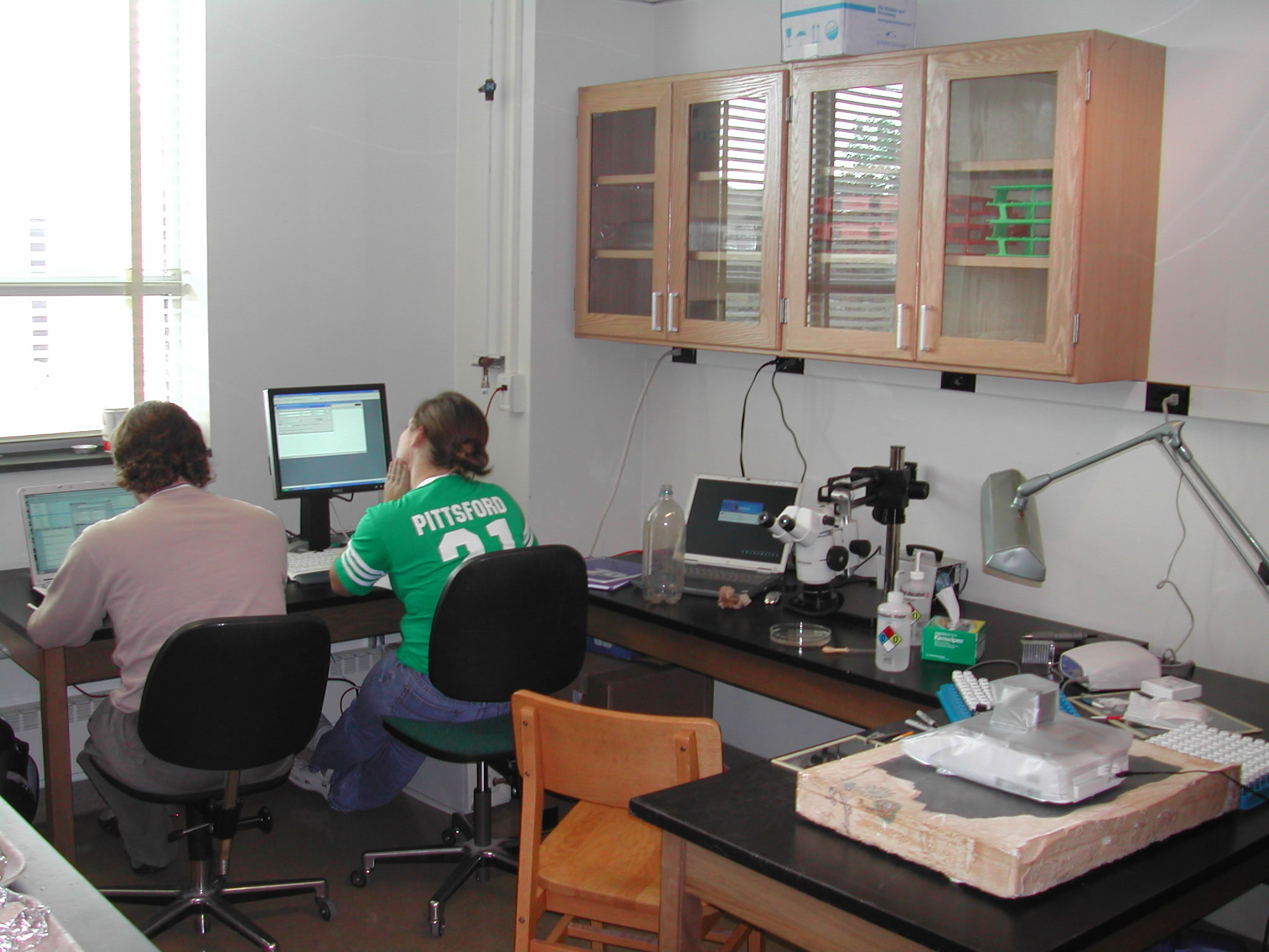 IREH Chemistry Lab / Desk.JPG